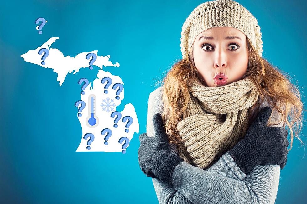 The Coldest Place in Michigan: Does Your Town Hold the Title?