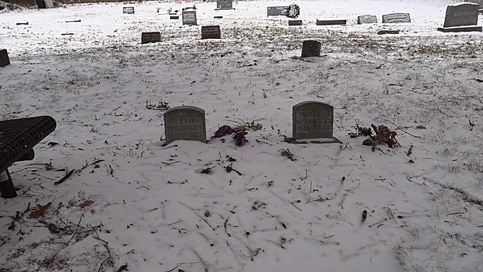 Fairview Cemetery Headstones, Ingham Township, Dansville, Ingham County,  Michigan
