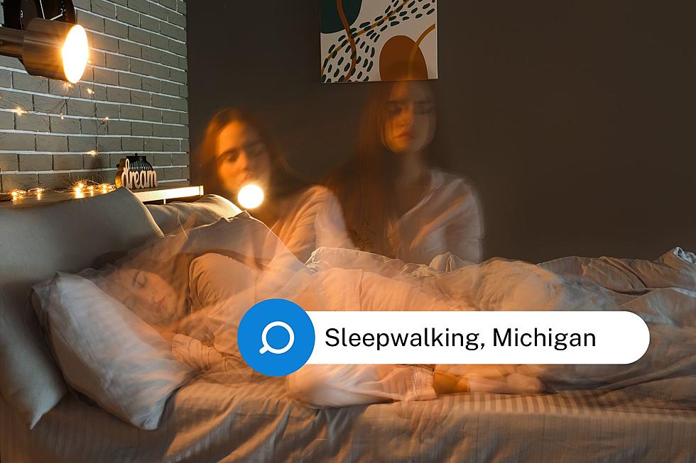 Midnight Michigan Strolls: The State’s Top 15 Sleepwalking Cities