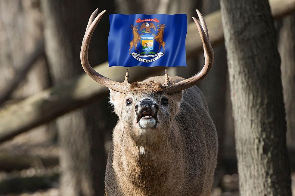 Michigan 83 County Whitetail Deer Ranking: 2022 Bucks and Does