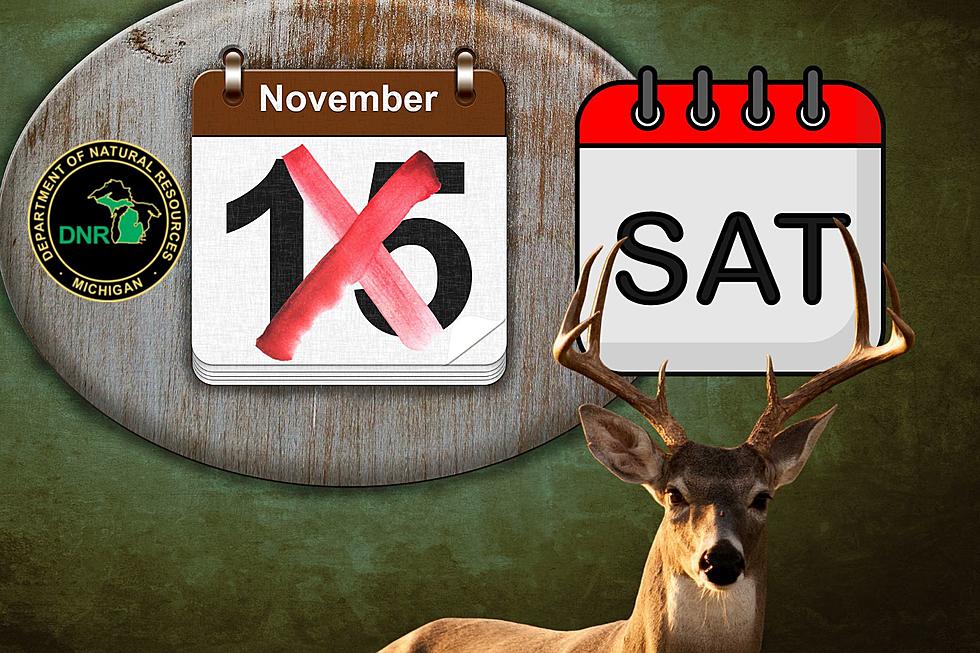 Michigan Firearm Deer Season Making Opening Day a 2nd Saturday