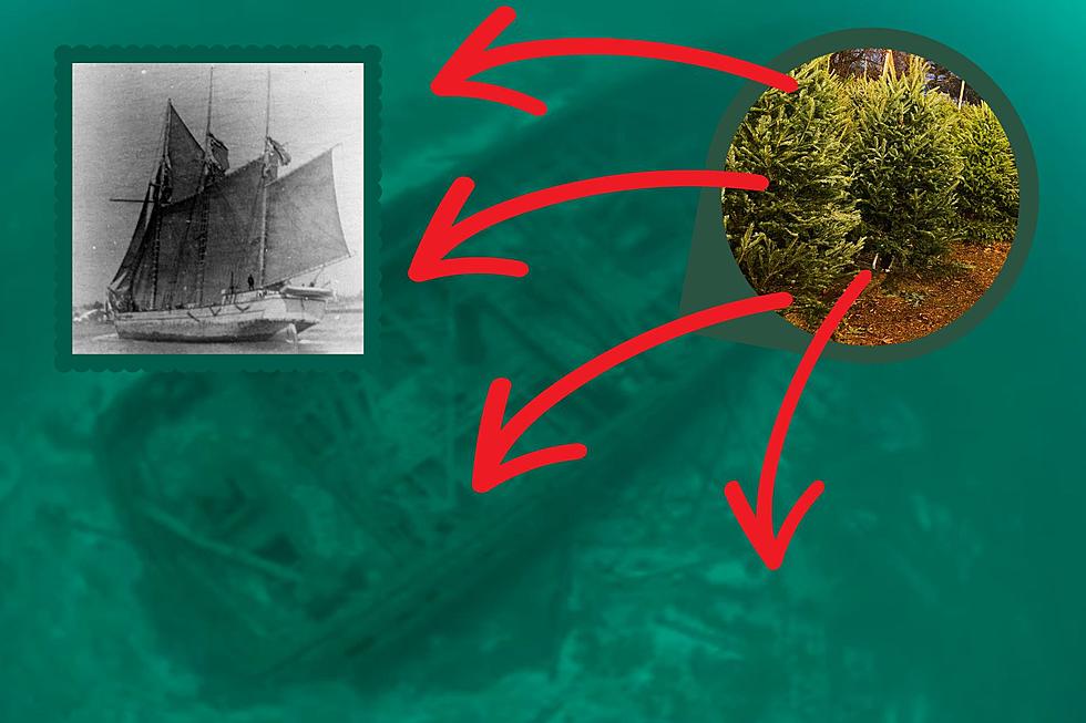 Sinking of Michigan’s ‘Christmas Tree Ship': See the Wreckage