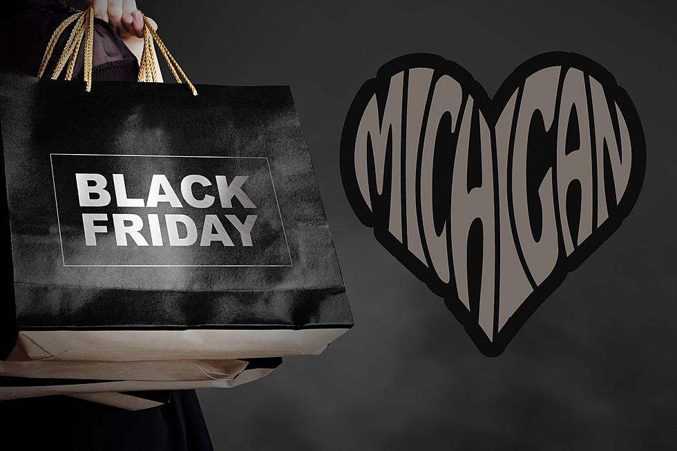 Michigan Best Black Friday Bargains: 50 Deals Offering Real Savings
