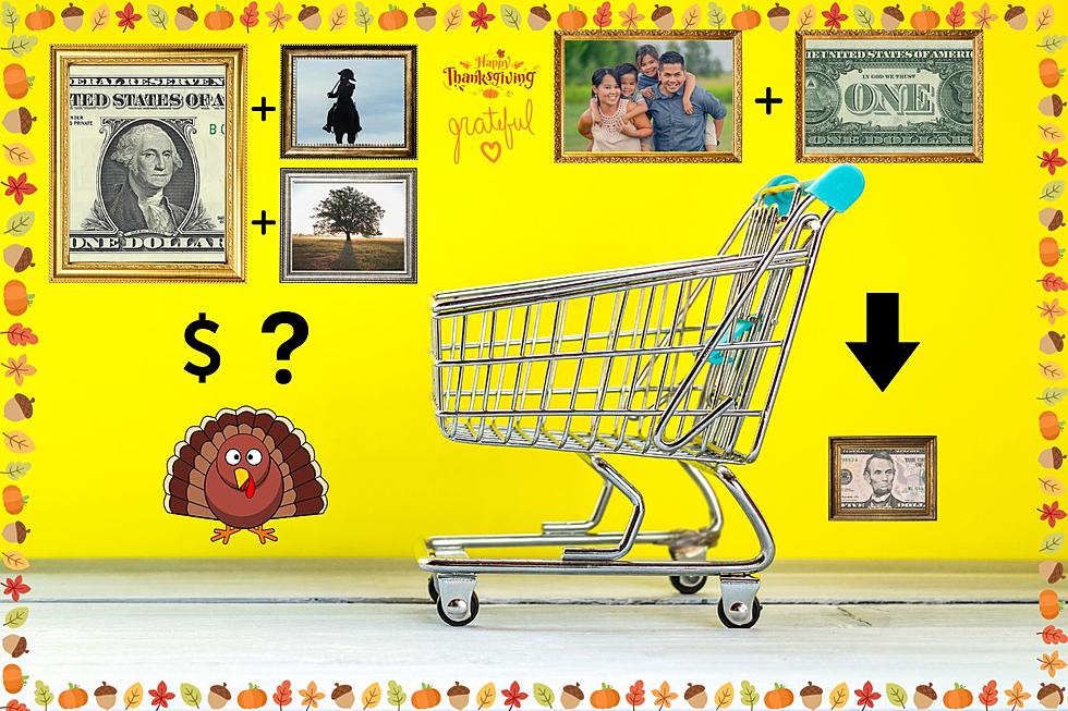 Save This Thanksgiving With These 11 Michigan Dollar Store Buys