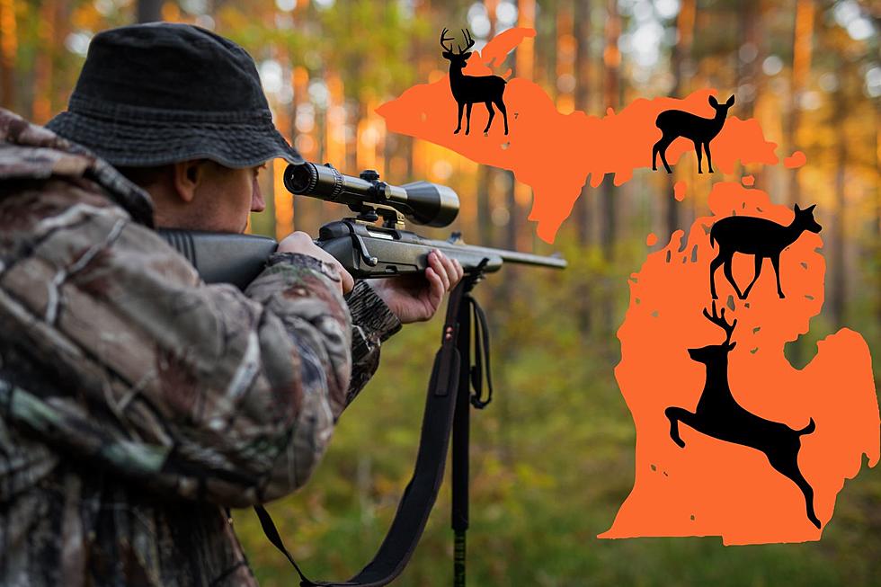 UPDATED and BLEAK: Michigan's 23 Deer Season Harvest by County