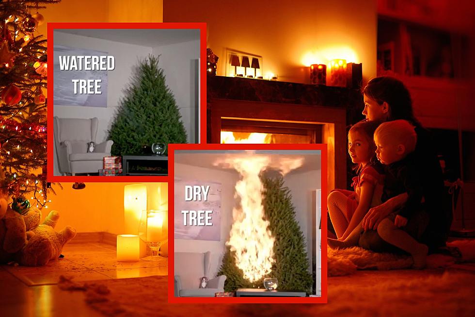 Watch as Fire Engulfs Dry Michigan Christmas Tree in 30 Secs