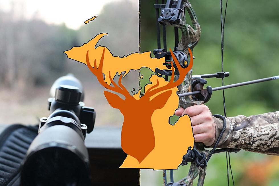 UPDATE Michigan Deer Season: Which County Has Tagged Most to Date?
