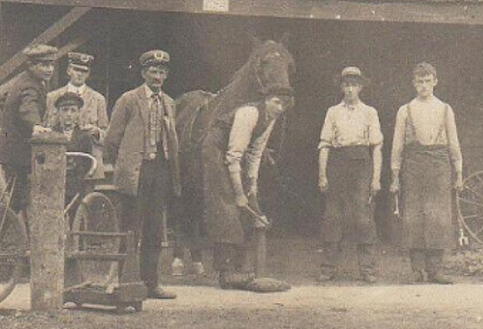 Horseshoers: Farriers and Blacksmiths of Michigan, 1880-1919