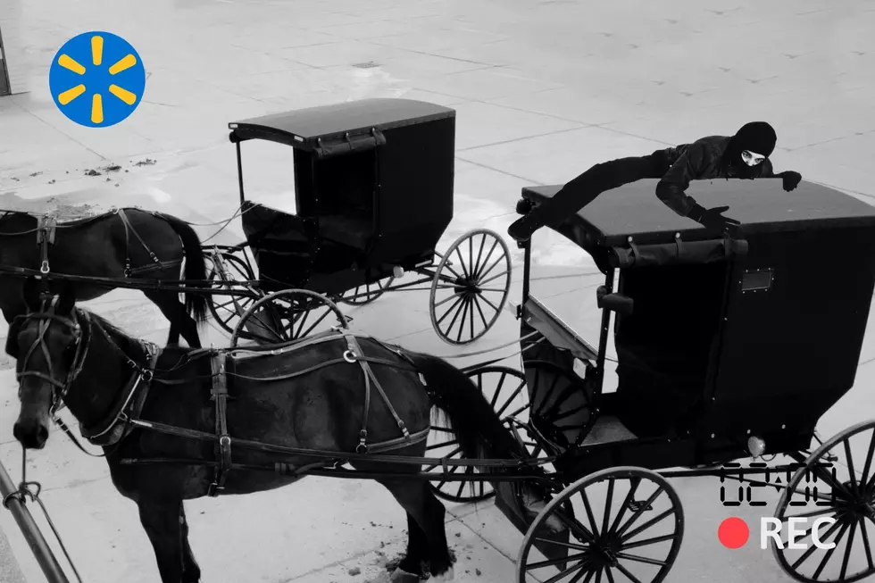 Sturgis, Michigan Woman Steals Amish Family’s Horse and Buggy