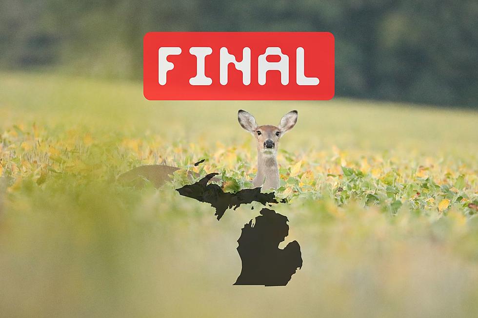 DOE! Michigan's 2023 Buck Heavy Final Deer Harvest By County