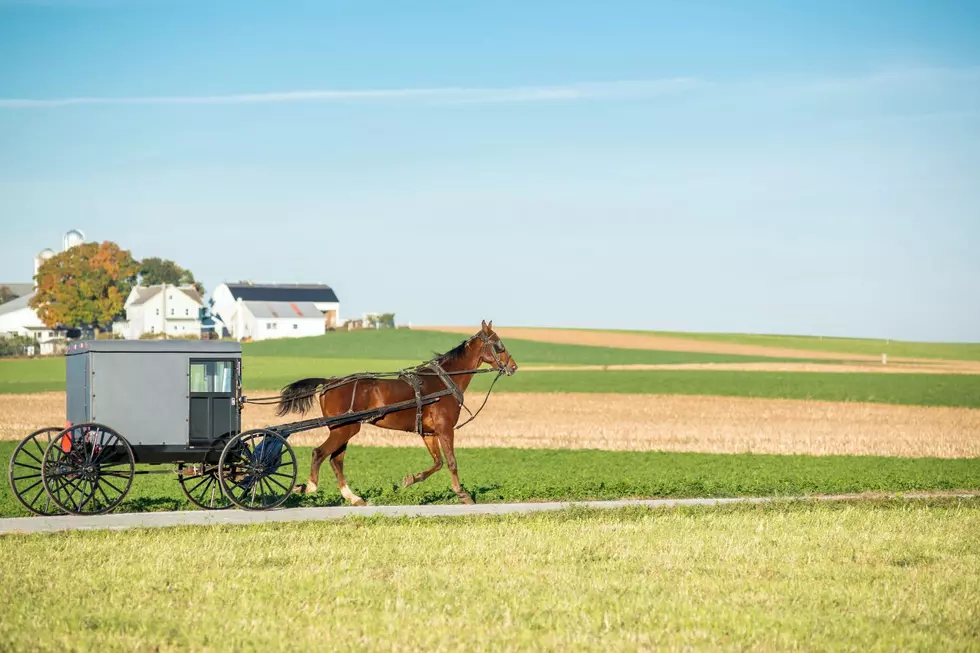 Horse Thieves in Michigan? Amish Family’s Buggy Stolen at Walmart