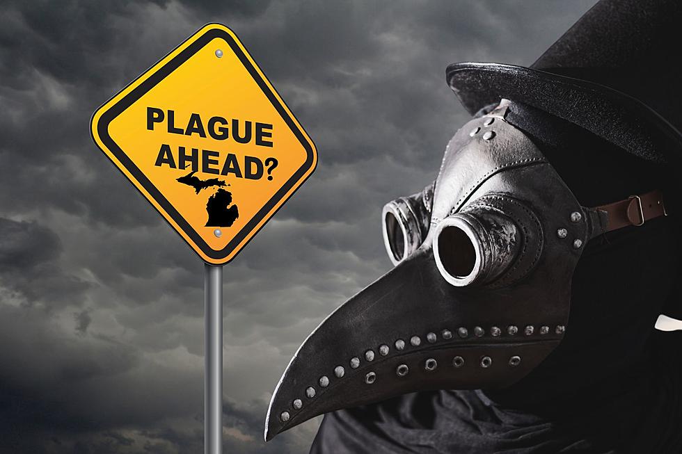 Bubonic Plague Case Confirmed in US: What Michigan Needs to Know