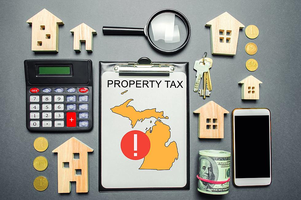 STATE RANKINGS: Michigan's Property Taxes Among Nations Highest