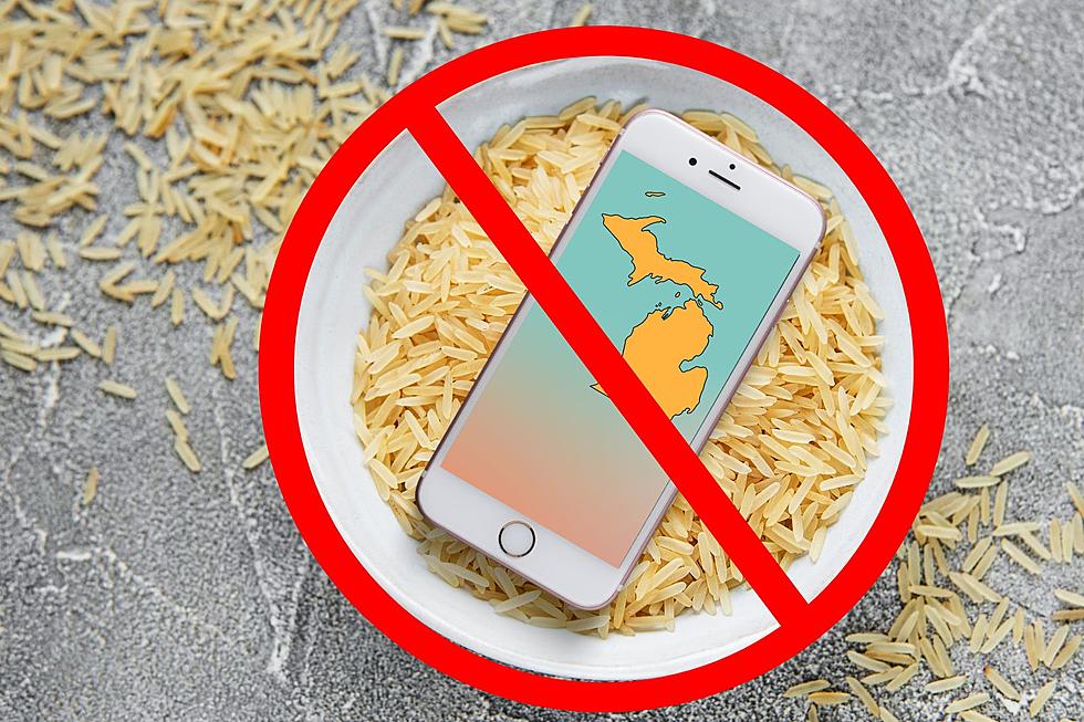 Wet Michigan iPhones and the Risks of the Rice Bag ‘Hack’ Exposed