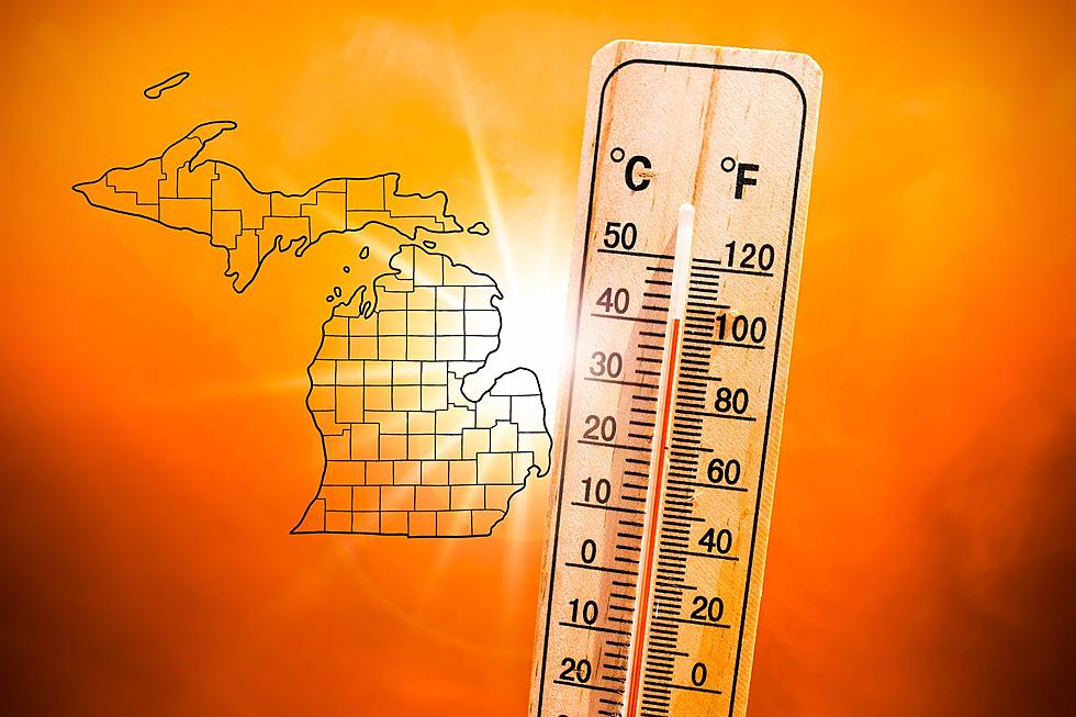 Brace Yourself for a Wet, Hot 'La Nina' Michigan Summer
