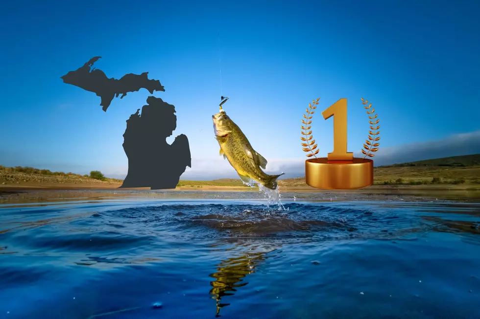 Michigan Fishing State Records: Revealing 58 Title Owning Lunkers