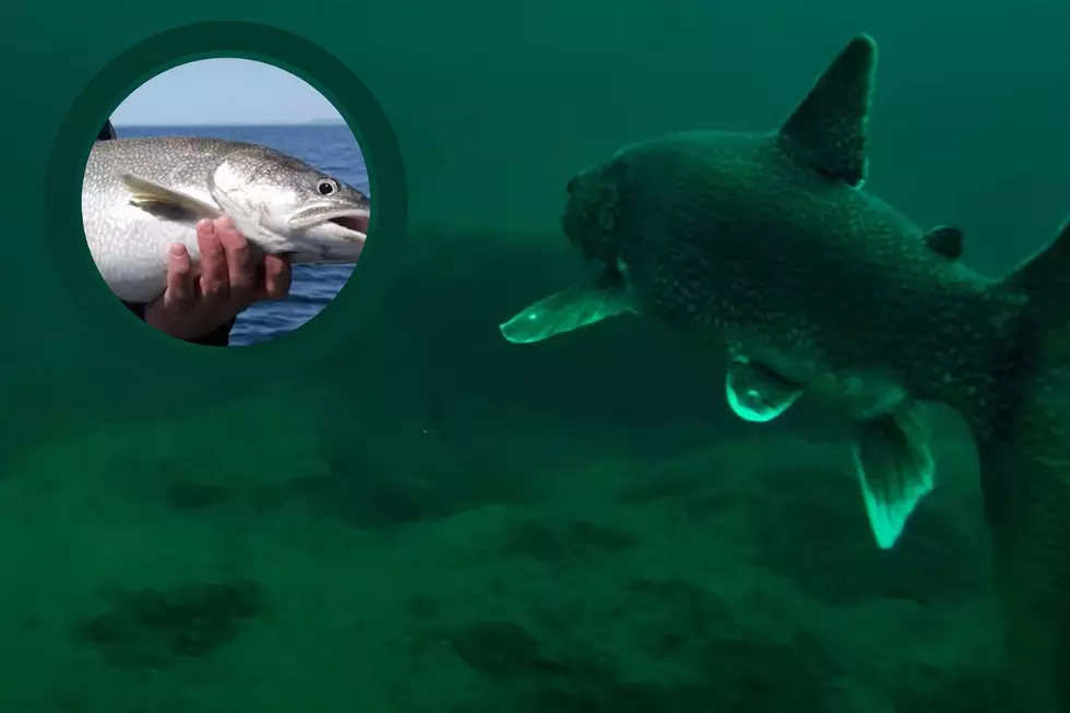 Is There Life on the Bottom of Michigan's Lake Superior?