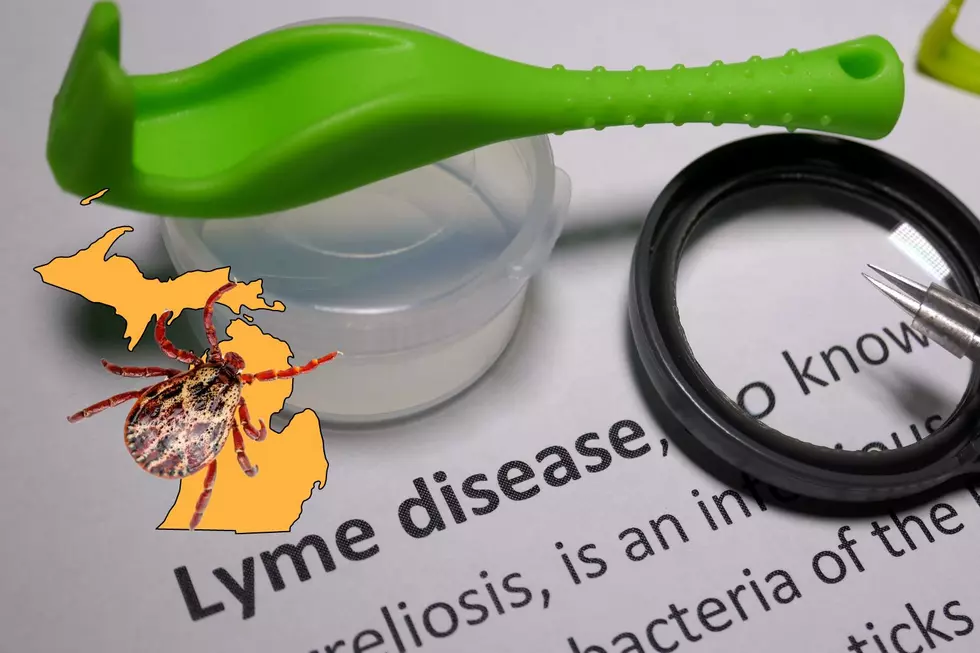 Lyme Disease: Revealing Michigan&#8217;s Risk For Tick-Borne Illnesses