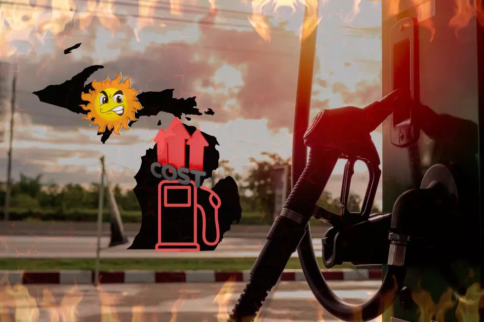 Revealing Michigan's 'Summer Gas' Rules And Impact On Your Wallet