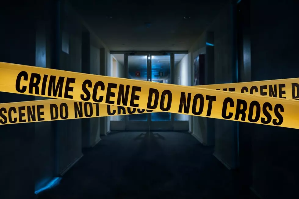 Year in Crime: Murder, Rape, Larceny Reports 424 Michigan Cities