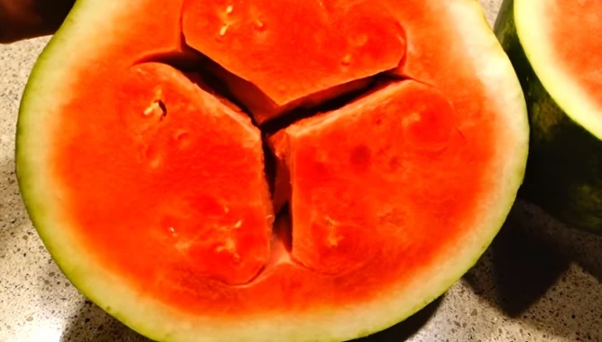 If Your Watermelon Looks Like This After Cutting, Do Not Eat It