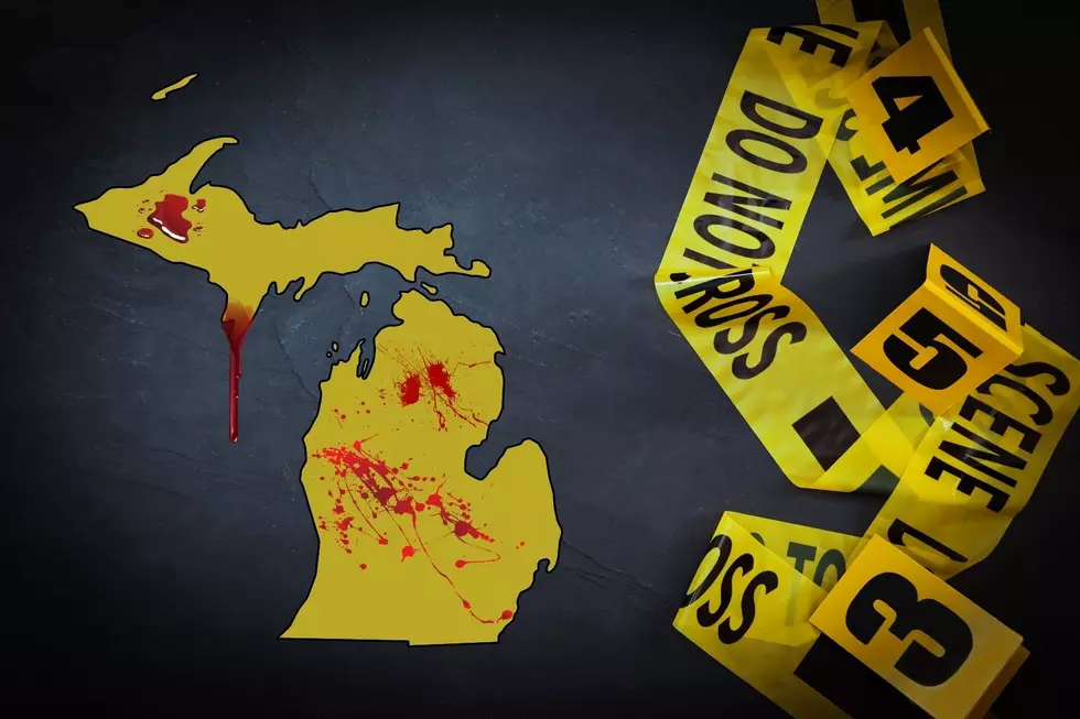 Michigan Named 2nd Most Violent State in USA: Full US Rankings