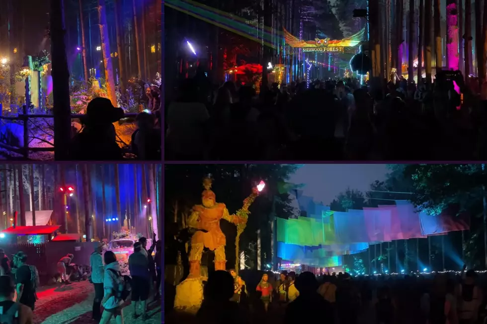 Michigan&#8217;s Most Colorful Festival 1 of USAs Most &#8216;Instagrammable&#8217;