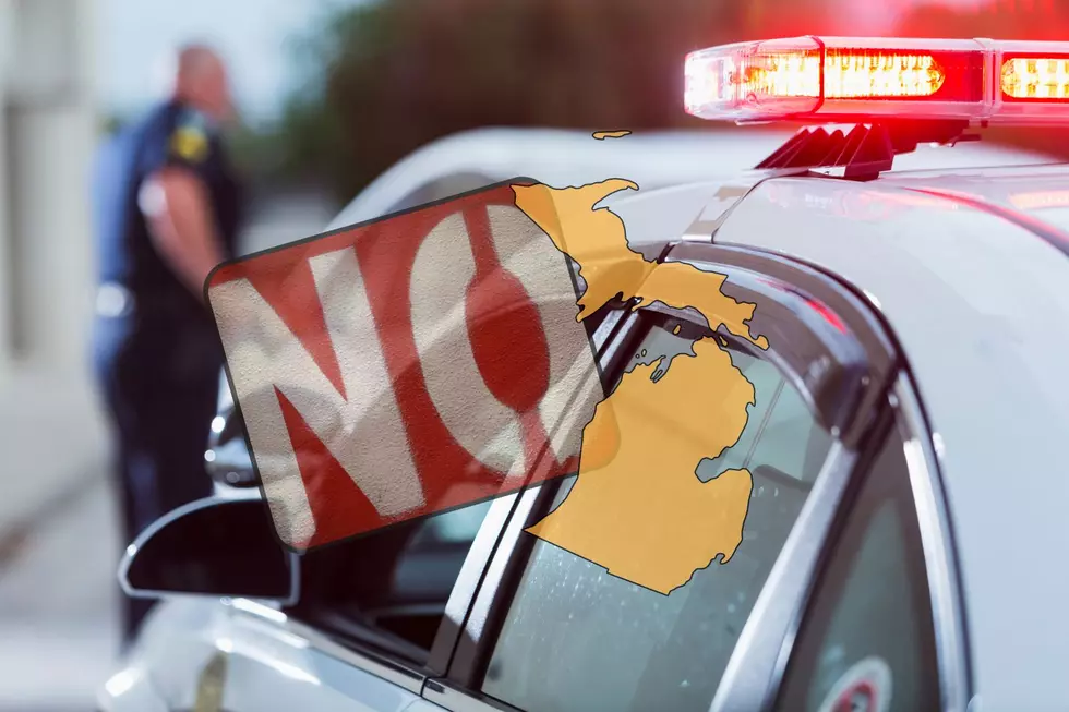 4 Things Michigan Police CAN’T Do During a Traffic Stop