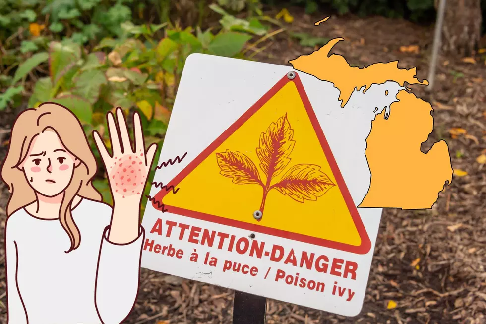 Skip the Itch: How to Spot Poison Ivy in Michigan