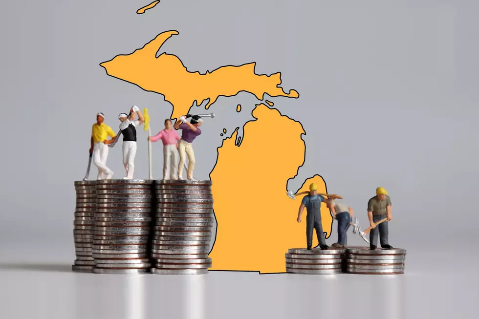 Comparing 10 Michigan CEO Salaries to Their Median Workers Wage