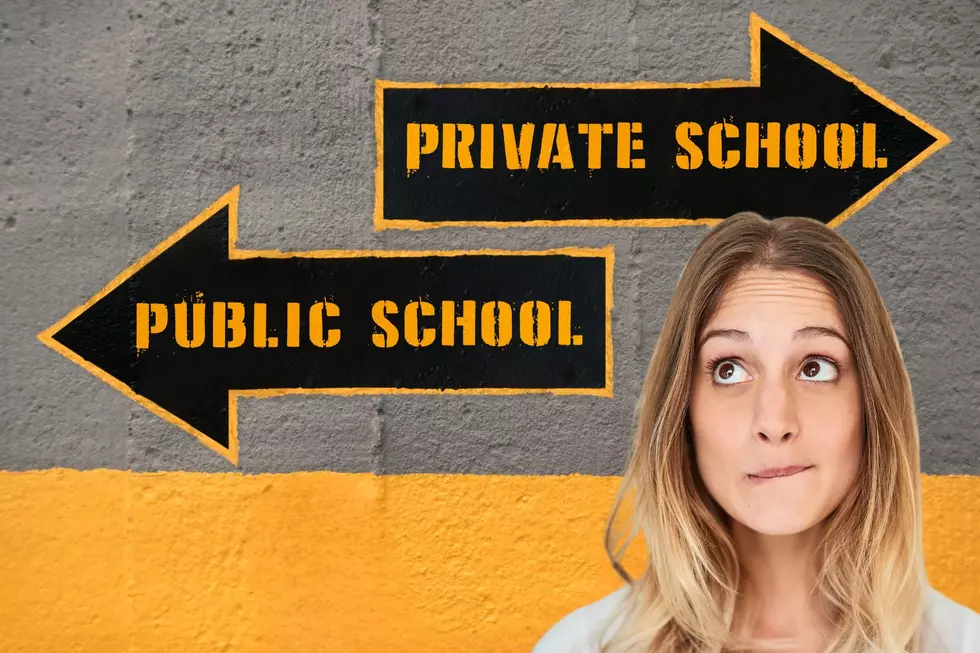 A woman stands, biting her lip in thought while gazing up at two signs: PUBLIC SCHOOL and PRIVATE SCHOOL