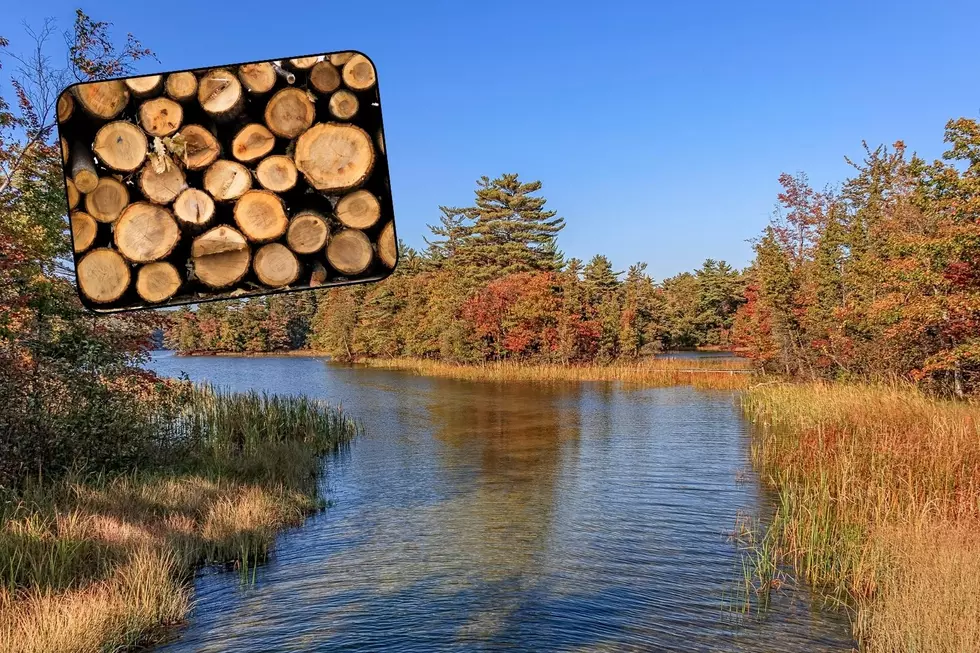 A small inlet of Michigan's largest man-made lake is seen during a fall day.