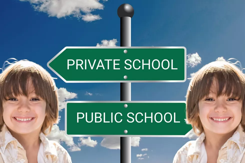 A pair of street signs pointing in opposite directions, with one reading PRIVATE SCHOOL and the other PUBLIC SCHOOL. Both signs point to mirror images of the same child