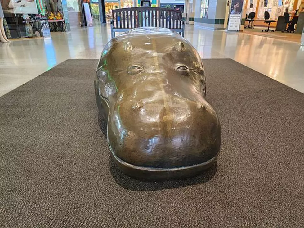 The bronze Hippopotamus statue inside Jackson, Michigan's Westwood Mall.