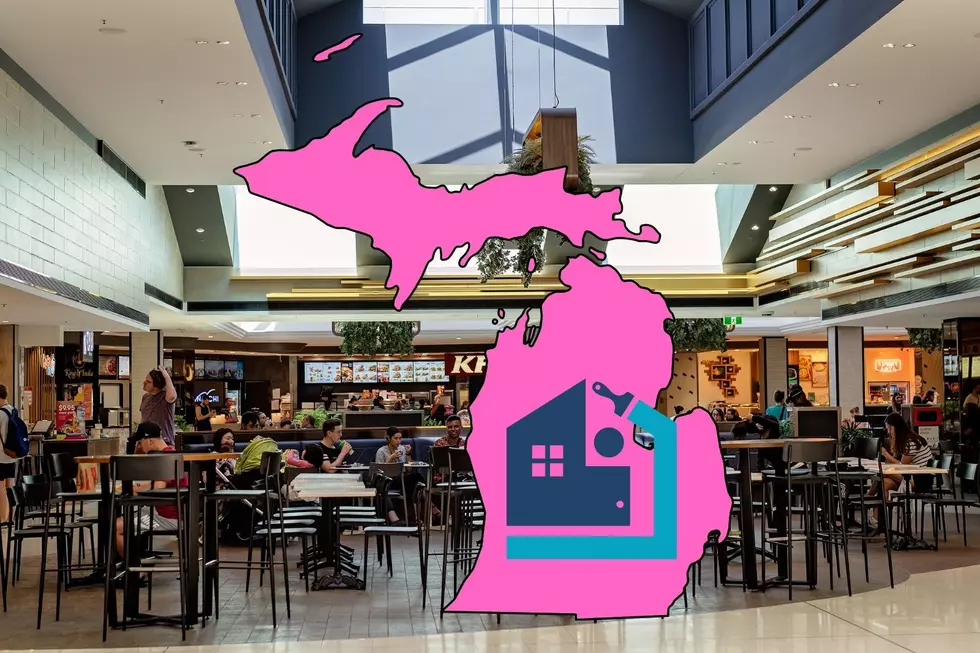 A food court in an indoor shopping mall is seen along with an outline of Michigan and a remodel symbol featuring a building with a paintbrush circling around it.
