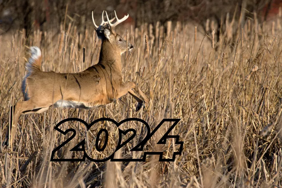 A whitetail deer is seen jumping through dry, brown, long grass with 2024 written under the deer.