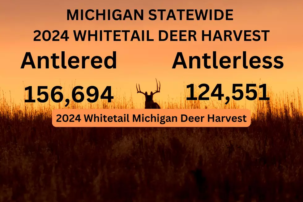 Michigan’s 2024 Calendar Year Deer Harvest: Antlered Deer Harvested and Reported in 2024: 156,694 Antlerless Deer Harvested and Reported in 2024: 124,551 Total Deer Harvested and Reported in 2024: 281,245