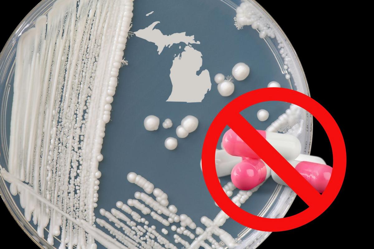 Drug-Resistant Fungus Candida auris Spreads in Michigan Hospitals