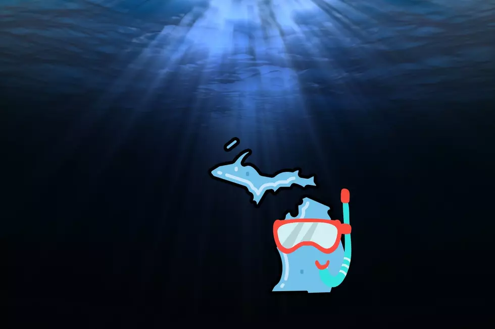 Sunlight struggles to reach the depths of water as an outline of Michigan is seen with a cartoon snorkel.