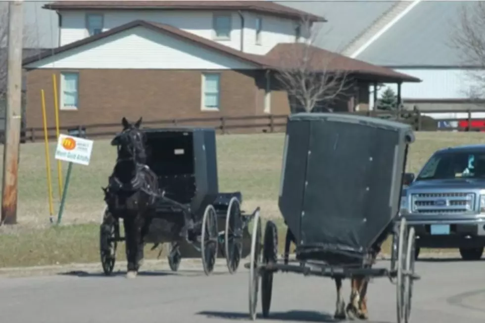 Two Amish horse and buggies pass on the street, with the one moving away from the camera not bearing the orange triangle on the back of the buggy, as the more strict Amish in Michigan do.