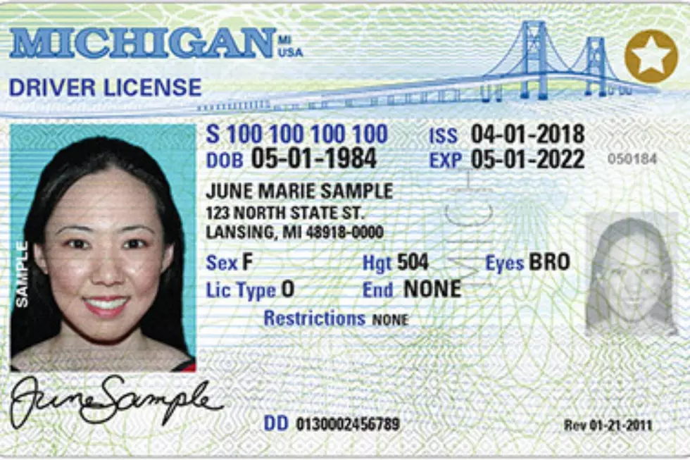 A sample of a Michigan Real ID