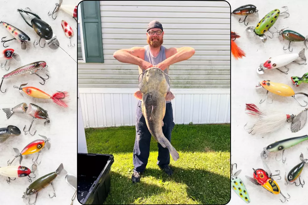 Codie Carlson stands holding his record flathead catfish, caught in Plum Creek in Monroe County, Michigan. The length of 45 inches can be seen as he holds it by the mouth with both hands.
