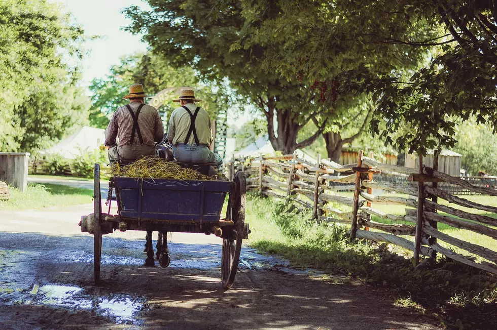 Two men riding on a horse and buggy