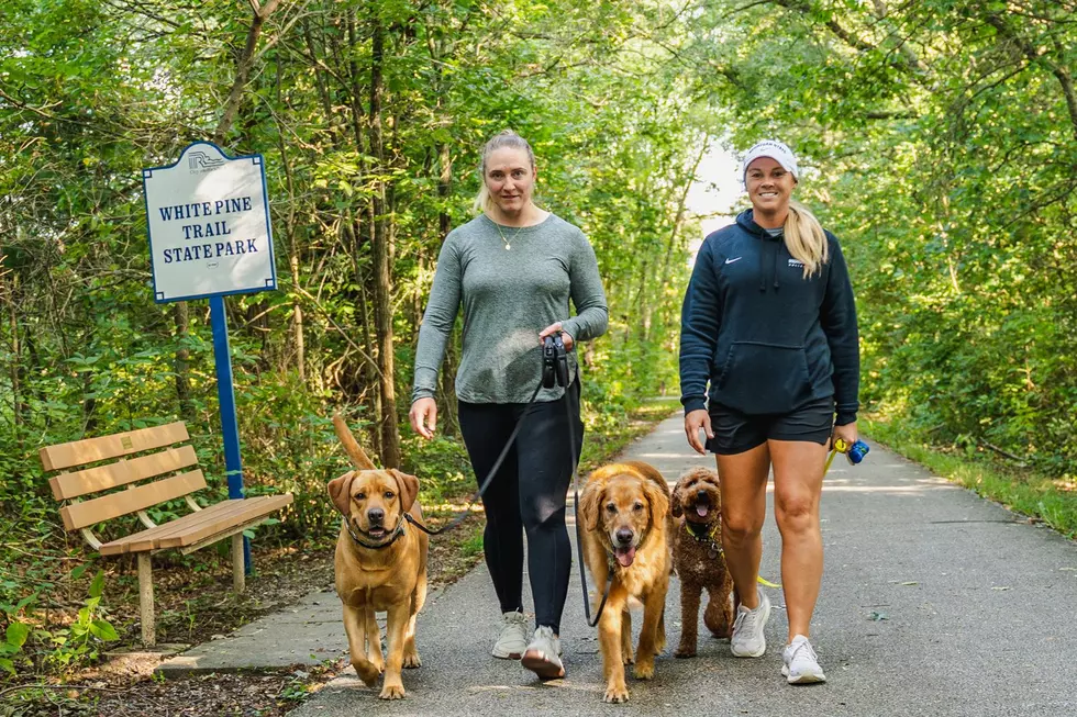 A pair of women walk three dogs on the Michigan White Pine Trail.
