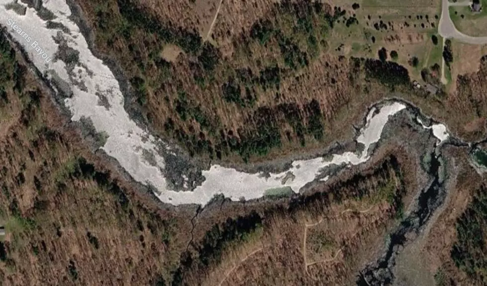 Part Gator, Turtle & Hippo: The Stearns Bayou Water Monster, Grand Haven
