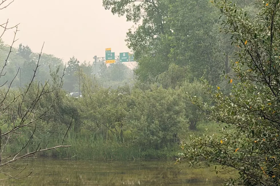 Where in Canada Are the Wildfires Smoking Out Michigan?