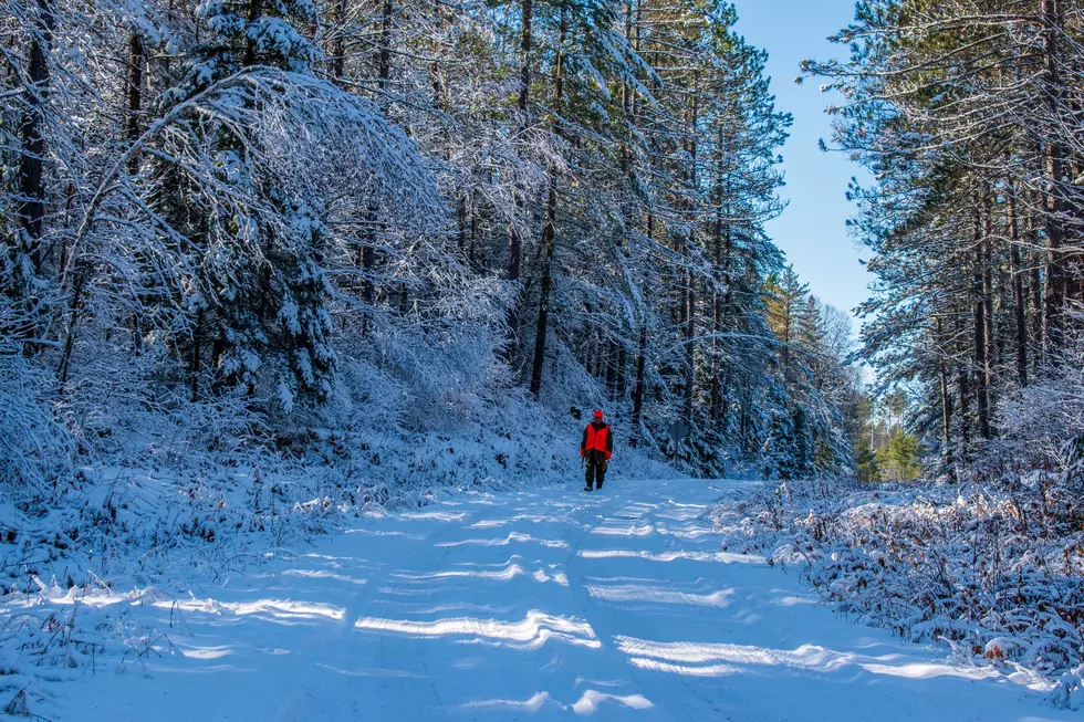 A hunter walking through deep snow in Michigan's Upper Peninsula.