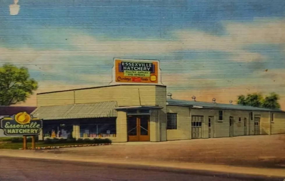 Past Michigan Attraction: The Essexville Hatchery, 1930s-1960s