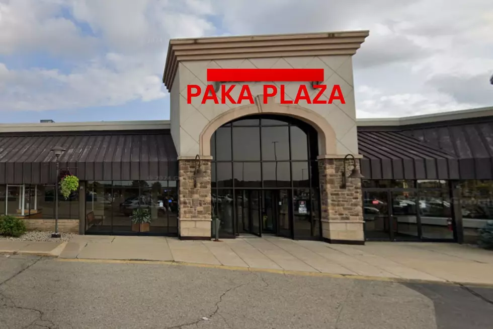 A Google image of Jackson, Michigan's Jackson Crossing Mall, with the name crossed out and PAKA PLAZA written in red.