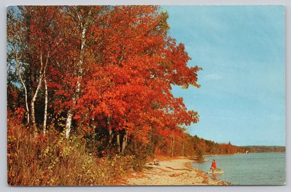 Things Michigan Does Better Than Anyone Else